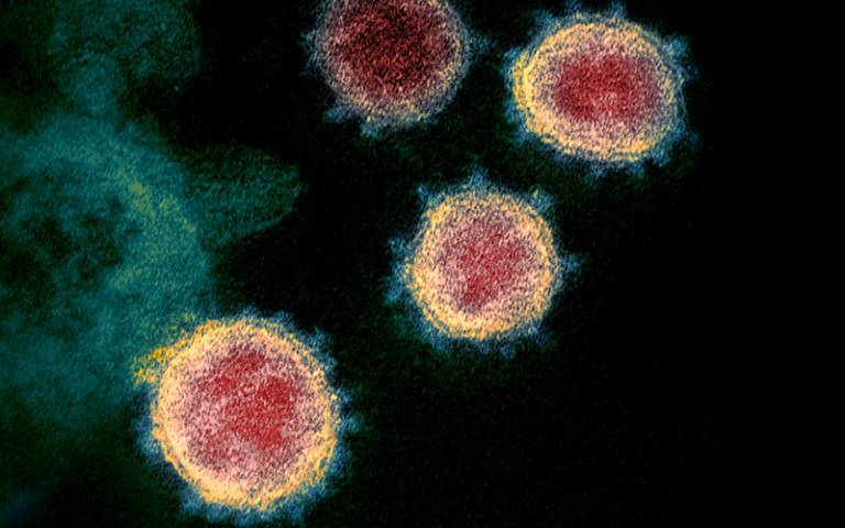 Coronavirus image